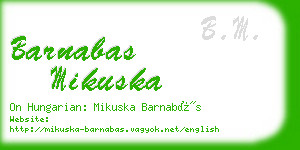 barnabas mikuska business card